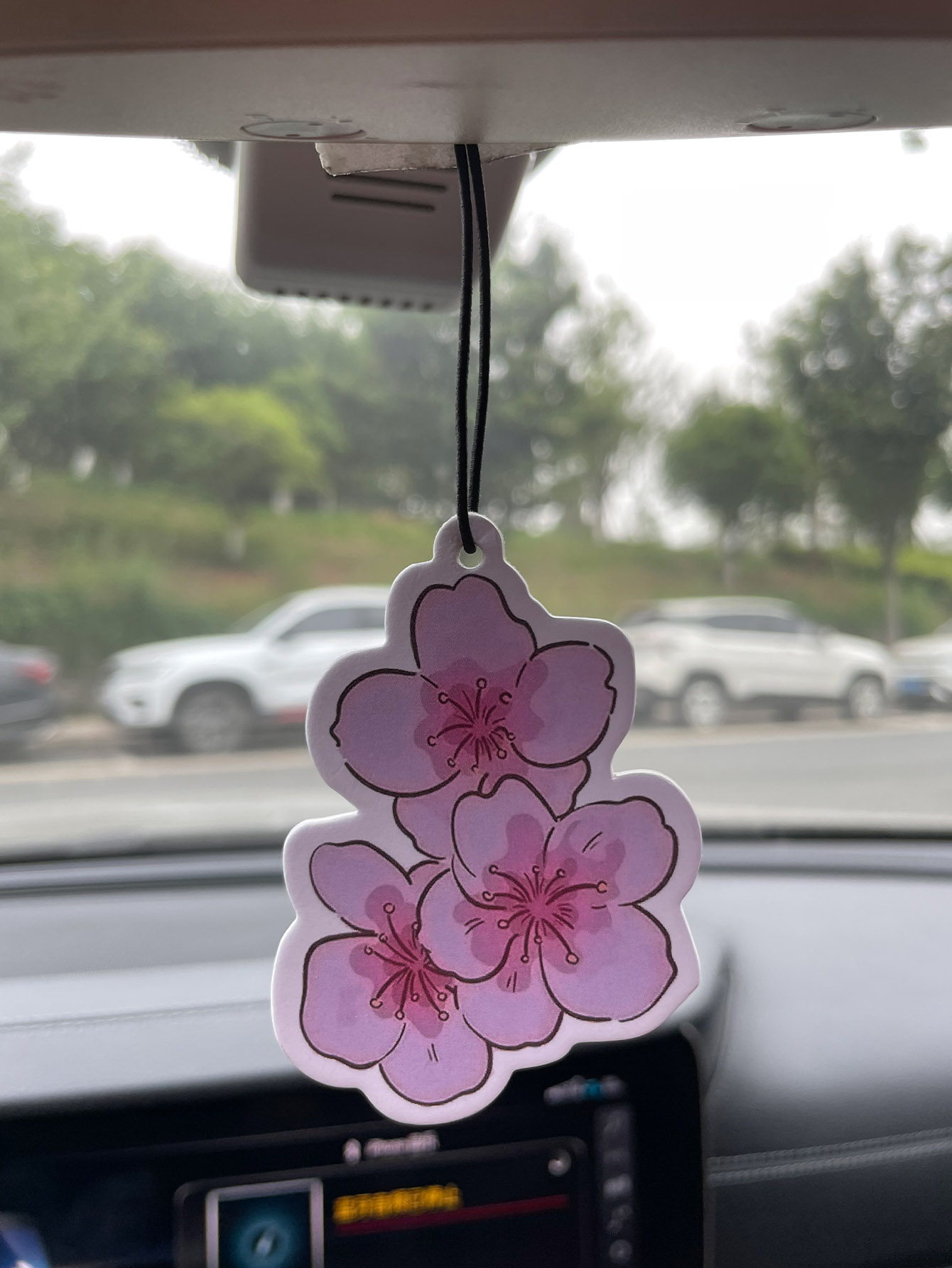 사쿠라/프리지아 프레쉬 향 5성급 중성 자동차 방향제  - Home Fragrance Janzen 리뷰 및 가격